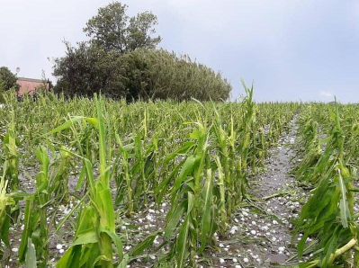 Granizo